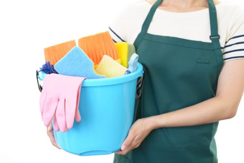 Carpet cleaning service for a fitted carpet in SE4