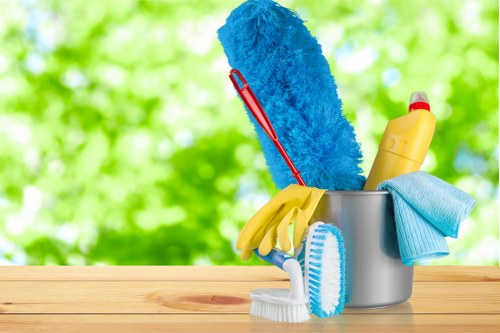 Local cleaning company service for homes and flats in SE4