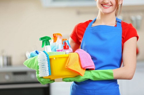 Professional carpet cleaning in SE4 with careful attention to detail