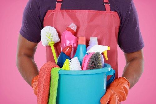 Local domestic cleaning service for SE4 residences