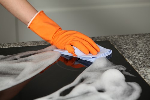 Professional carpet cleaning for homes and businesses in SE4