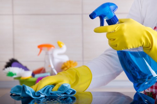 Local home cleaning service for SE4 houses and flats