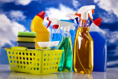Local cleaners providing domestic cleaning services in SE4 homes