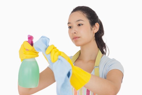 Local domestic cleaning service for houses and flats in SE4