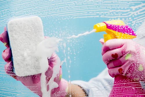 Carpet cleaning service for rental and commercial properties in SE4