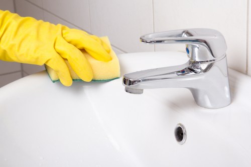 Professional oven cleaning service for SE4 kitchens with deep grease removal
