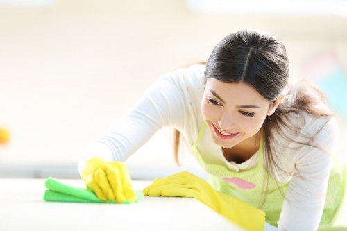 Professional cleaners maintaining a tidy office interior in SE4