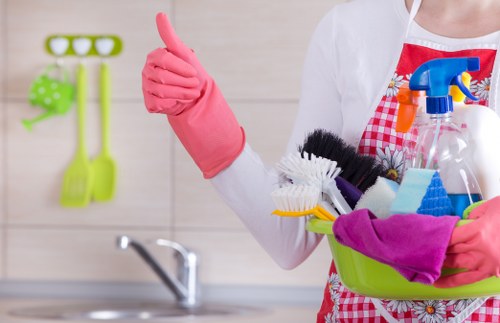 Thorough oven cleaning for homes and rental properties in SE4