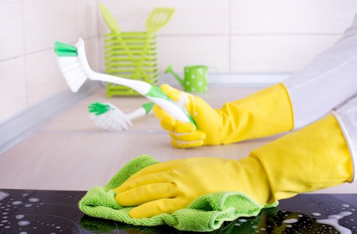 Reviewing a carpet cleaning issue and service notes
