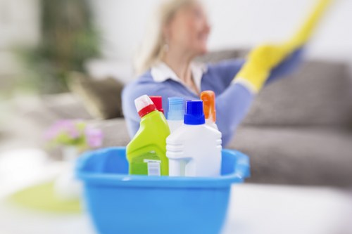 Professional cleaning supplies prepared for a local SE4 visit