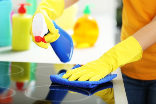 Payment and pricing terms for carpet cleaning services