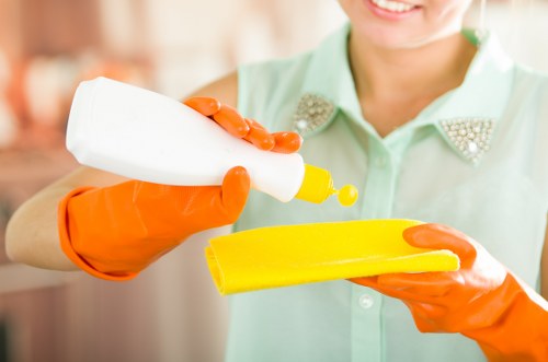 Post-construction cleaning in a SE4 home with windows, skirting boards, and floors being detailed