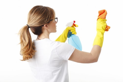Carpet and upholstery cleaning options for a home in SE4
